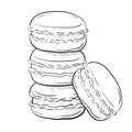 Macaroon cakes, vector illustration isolated on white background sketch style. Snack, pile of macarons. Clipart for a