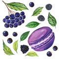 Macaroon with currants, blackberries, green leaves on a white background.
