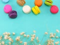 Macaroons with dryied flower and copy space background Royalty Free Stock Photo