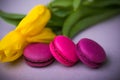 Macaroons food with tulips pink violet background for valentines mother woman day easter with love