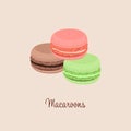 Macaroons French dessert vector illustration