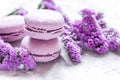 macaroons and mauve flowers for light breakfast on white desk background