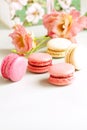 Macaroons in pastel colors with flowers on a pale pink background.Holiday background Royalty Free Stock Photo