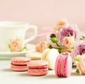 Macaroons in pastel colors with flowers on a pale pink background.Holiday background