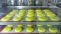 Macaroons on stencil silicone mat is baking in oven. View through the glass.