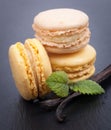 Macaroons with vanilla beans Royalty Free Stock Photo
