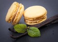 Macaroons with vanilla beans Royalty Free Stock Photo