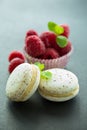 Macaroons Royalty Free Stock Photo