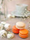 Macaroons and white rose flowers and a Morning cup of coffee Royalty Free Stock Photo