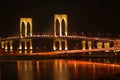 Macau Bridge by night Royalty Free Stock Photo