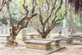 Protestant Cemetery(World Heritage site). a famous Historic Sites in Macau. Royalty Free Stock Photo