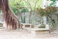 Protestant Cemetery(World Heritage site). a famous Historic Sites in Macau. Royalty Free Stock Photo