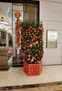 Macau Galaxy Resort Marriot Hotel Chinese New Year Red Flower Mandarin Oranges Cherry Blossom Red Packet Laisi Decoration