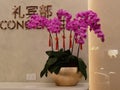 Macau Galaxy Resort Marriot Hotel Chinese New Year Red Flower Orchids Cherry Blossom Arrangement Red Packet Laisi Decoration