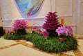 Macau Galaxy Resort Raffles Hotel Chinese New Year Red Flower Blossom Arrangement Red Packet Laisi Festive Decoration