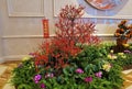 Macau Galaxy Resort Raffles Hotel Chinese New Year Red Flower Cherry Blossom Arrangement Red Packet Laisi Festive Decoration