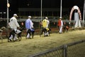 Macau Greyhound Dog Races