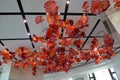 Macau MGM Hotel Casino Glass Artist Dale Chihuly Collection Arts Crafts Antique Heritage Decoration Lobby