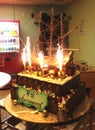 Macau Party Entertainment The House of Dancing Water Anniversary Cake Fireworks Firecrackers Fire Sparks Dessert Pantry Green Room