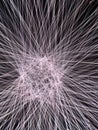 Macau Teamlab Theatre Stage Lighting Colorful Laser Show 3D Mapping Entertainment Projection Light Rays Patterns Geometry