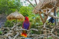 macaw bird in bali zoo