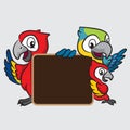 Macaw cartoon