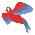 Macaw icon cartoon vector. Bird parrot