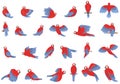 Macaw icons set cartoon . Fly parrot Royalty Free Stock Photo