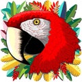 Macaw Paper Craft Digital Art