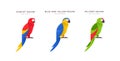 Macaw parrot bird isolated animal cartoon set Royalty Free Stock Photo