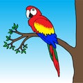 Macaw Parrot Illustration Royalty Free Stock Photo