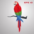 Macaw parrot low poly. Polygon exotic bird. Colorful triangle vector illustration on gray background.