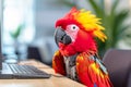 A macaw parrot sits in the office at a laptop