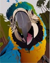 macaw parrot smile and enjoys life