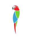 Macaw parrot. Tropical bird