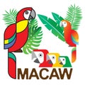Macaw Set1