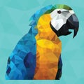 Macaw. Vector illustration decorative design Royalty Free Stock Photo