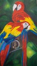 Macaws oil painting