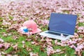 Macbook computers and pink hat with pink flowers and green grass background