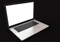 MacBook Pro silver similar laptop computer, front view Royalty Free Stock Photo