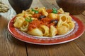 Maccheroni alla lucana Royalty Free Stock Photo