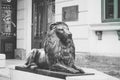 Macedonia, Skopje, downtown Sculpture of lion. City center, lion