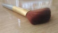 Maceina brush