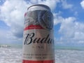 MACEIO, AL, BRAZIL - May 12, 2019: Budweiser cold beer and a beautiful sky and sea behind