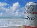 MACEIO, AL, BRAZIL - May 12, 2019: Budweiser cold beer and a beautiful sky and sea behind