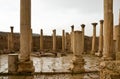 Macellum, Jerash Royalty Free Stock Photo
