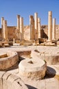 The macellum (the market), Jerash (Jordan) Royalty Free Stock Photo