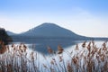 Machas lake in the morning. Czech landscape Royalty Free Stock Photo