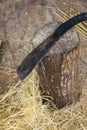 machete on a log Royalty Free Stock Photo