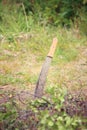 Machete outdoor nature Royalty Free Stock Photo